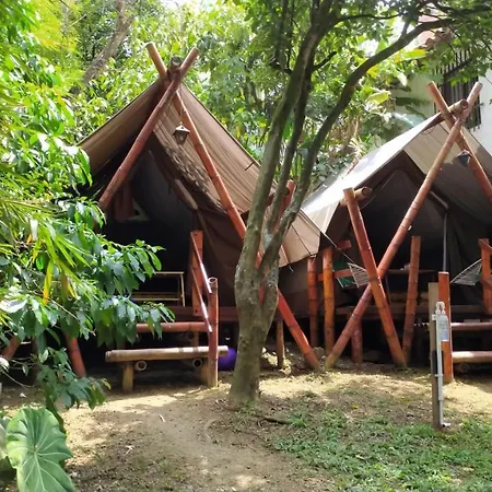 Bambu Glamping Ecolodge
